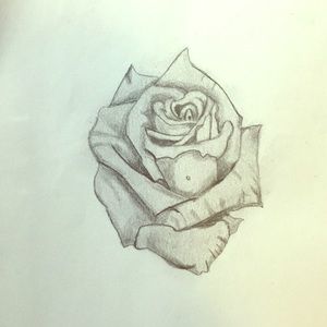 Rose drawing for tattoo